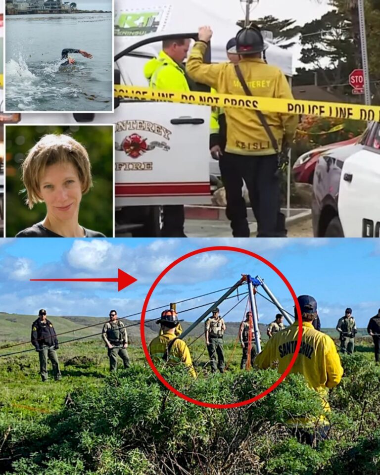 SAD NEWS: Police have found Erica Fox’s body, but it was completely DISMASHED because…