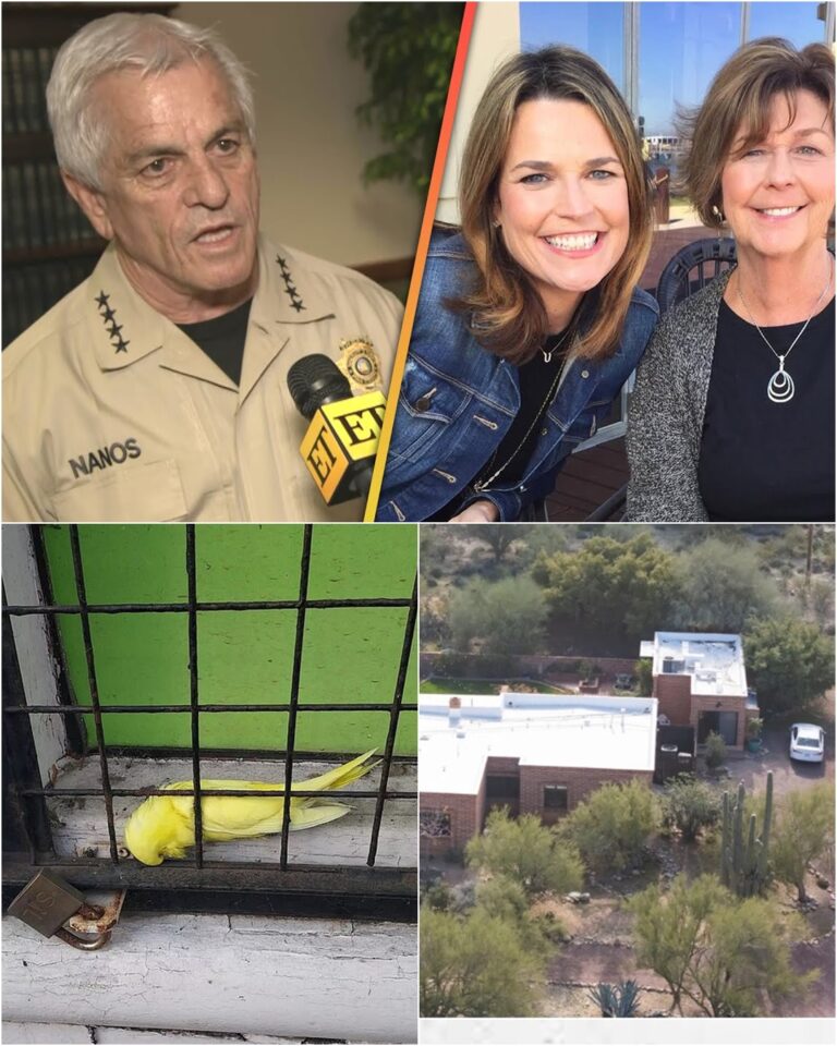 TESTIMONY FROM THE PARROT: Nancy Guthrie’s pet parrot keeps repeating a strange NAME since the night she vanished — is it a suspect or a secret code?