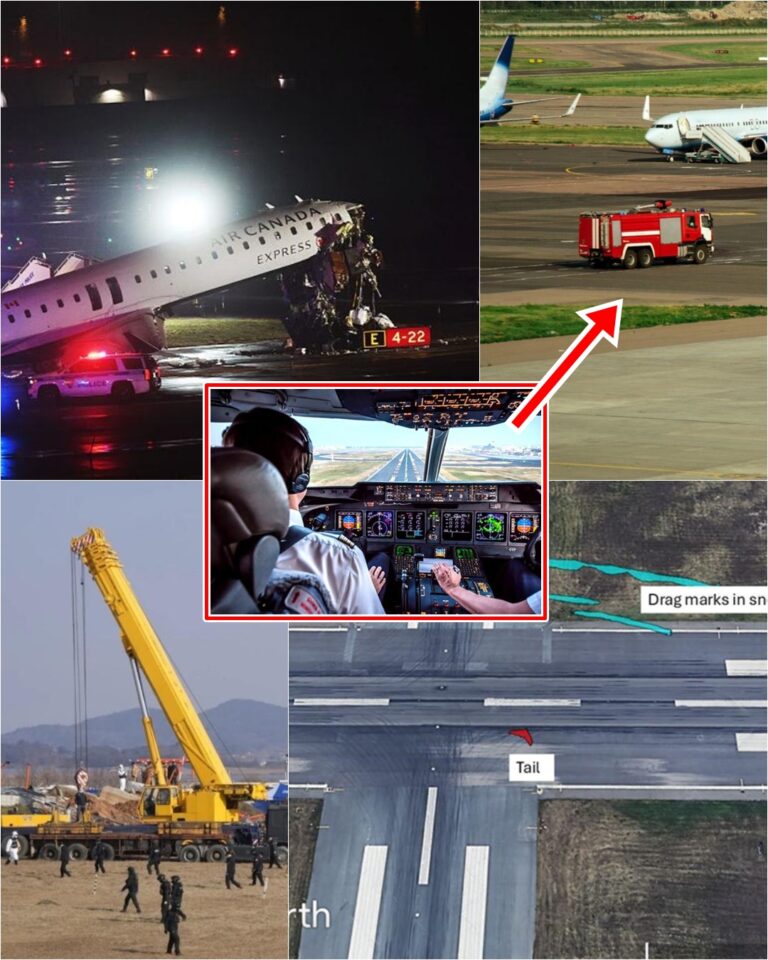 “CLEARED TO LAND… BUT NOT ALONE”: The Night Flight 8646 Met Something on the Runway