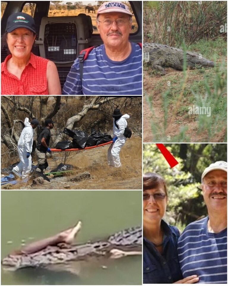 BLOOD FILLED THE TRUNK OF A FORD RANGER: A rope and a strange blood sample not belonging to Ernst Marais and Dina Marais were found inside the trunk of their car. After DNA testing, police discovered it was the blood of… See full text below…