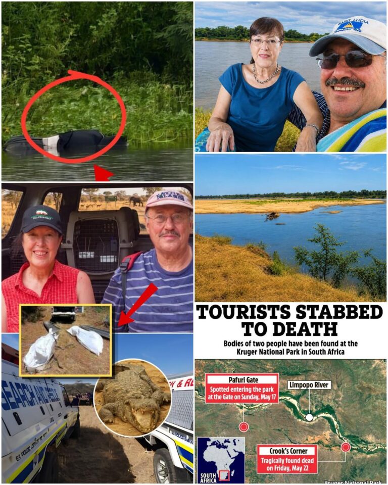 STRANGE SUBSTANCE IN BLOOD: Forensic teams have just discovered a strange substance in the blood of Ernst Marais and Dina Marais, injected 30 minutes before their deaths. This substance is only sold in border regions… See full details below…