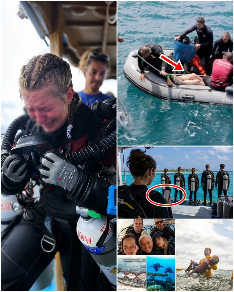 WHY AM I STILL ALIVE… WHILE THEY’RE GONE? Five divers entered the darkness. One stayed behind — And now she may be the only person left who knows what happened before the descent began. Did she hear something chilling before the dive started?